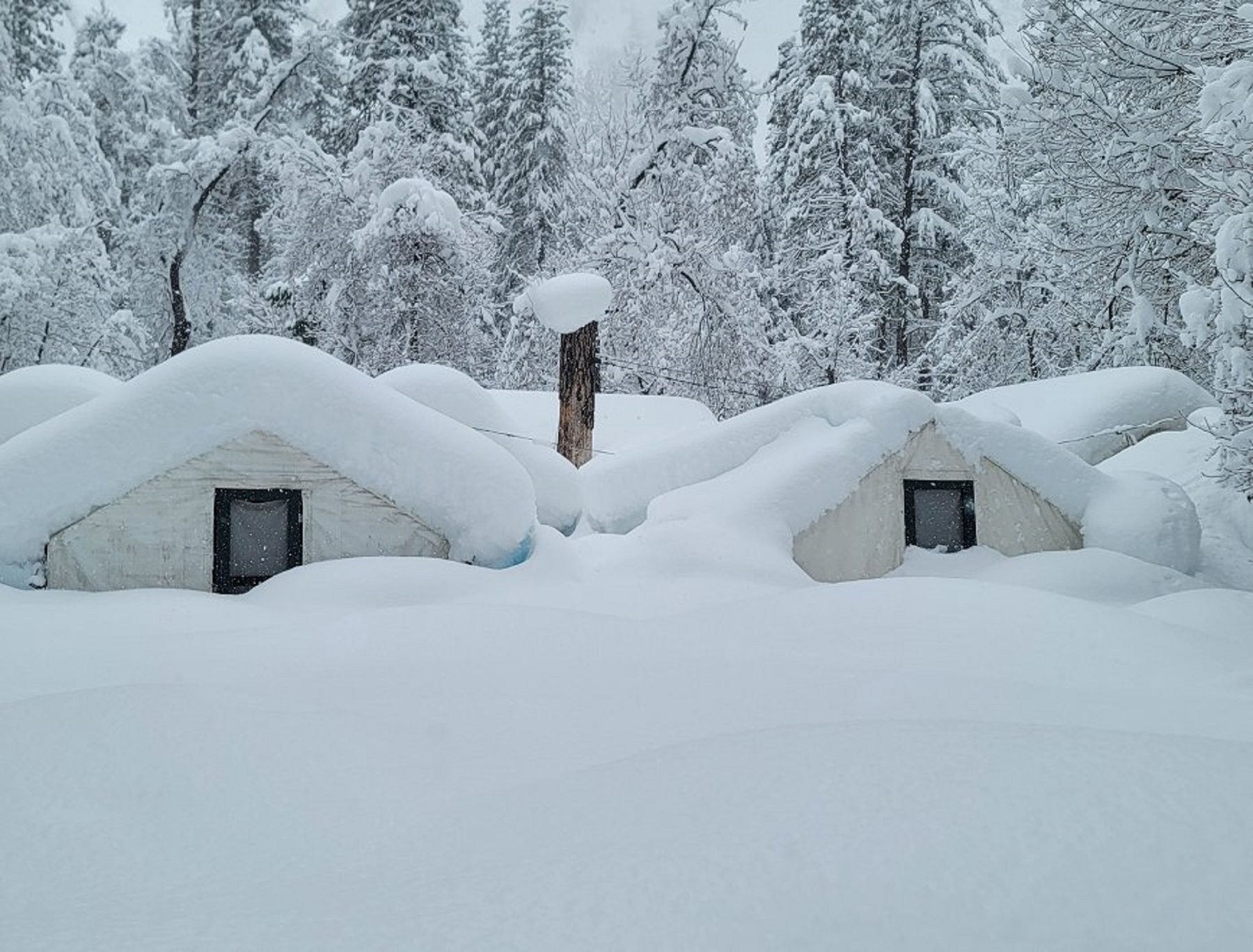 Le parc national Yosemite sous quatre mètres de neige au 1er mars 2023. © NPS